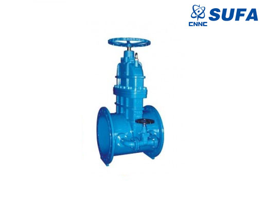 1744004899565664.jpg DN600带旁通暗杆闸阀.jpg